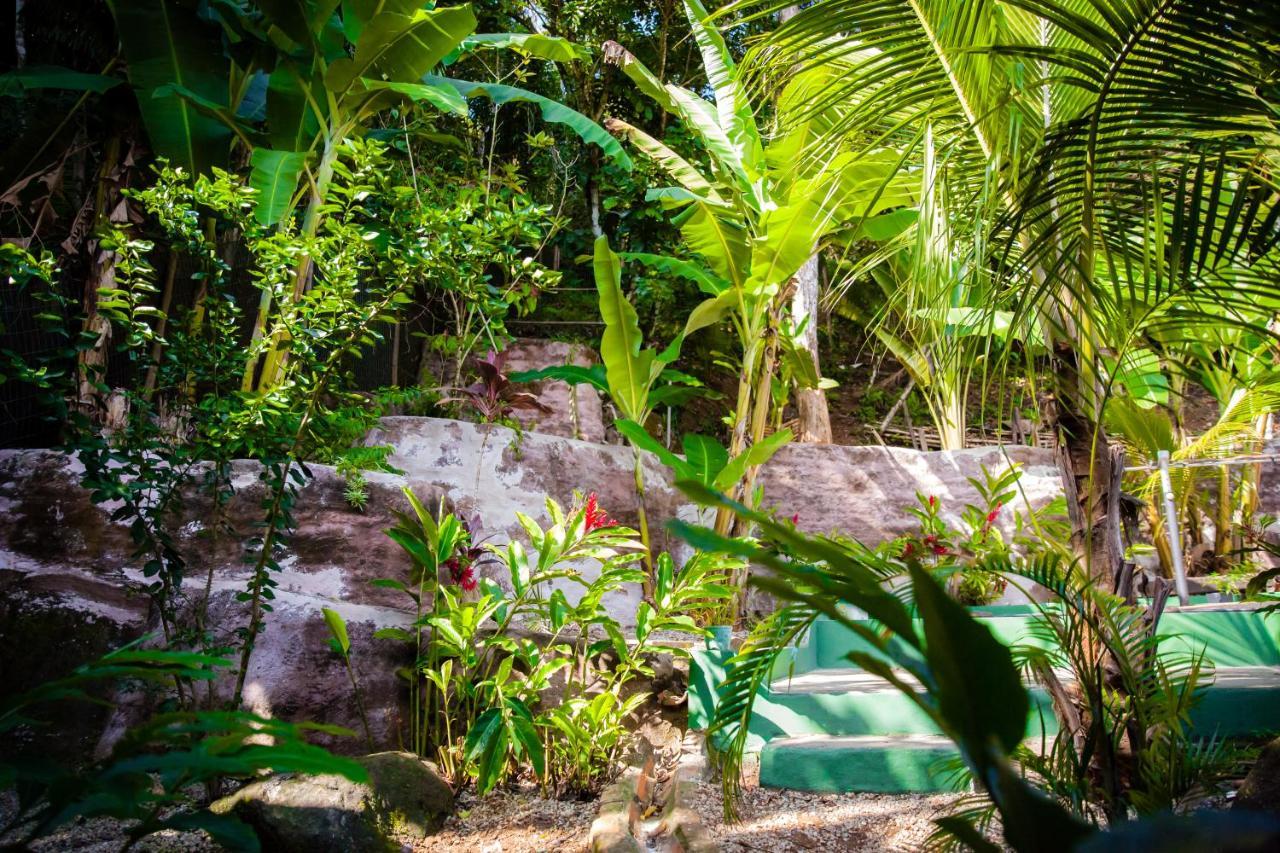 Sintonia Surf Hostel E Bar Ubatuba Exterior photo